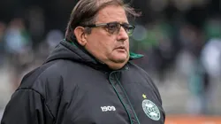 Foto: Robson Mafra/AGIF - Guto Ferreira: técnico mexeu no time do Coritiba contra o Atlético-GO