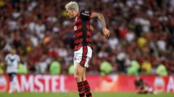 Goiás x Flamengo, prognósticos da 26ª rodada (Foto: Marcelo Cortes / Flamengo)