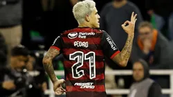 Flamengo x Ceará, prognóstico do jogo da 25ª rodada do Brasileirão (Foto: Gilvan de Souza/Flamengo)