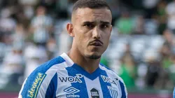 Foto: Robson Mafra/AGIF - Pottker marcou apenas um gol até aqui no Brasileirão.