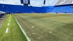 Foto: Reprodução Pedro Ivo Almeida no Twitter / @pedroivoalmeida - Gramados do campo do Vélez.
