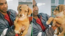 Luana filmou o momento em que pai traz cachorrinha adotada para casa