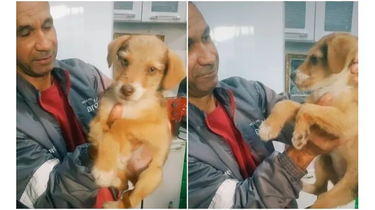 Luana filmou o momento em que pai traz cachorrinha adotada para casa