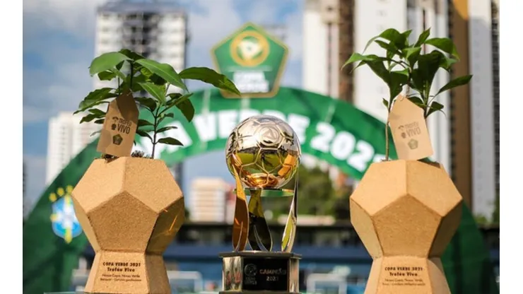 Fernando Torres / CBF. Copa Verde será realizada em 2022