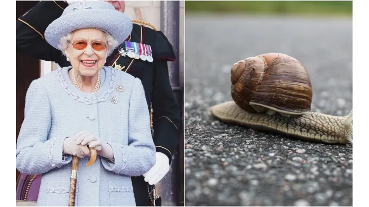 Cozinheiro expõe reação inusitada de Rainha Elizabeth ao encontrar lesma em seu prato