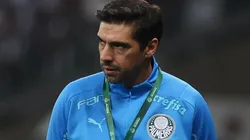 Foto: Cesar Greco/Palmeiras - Abel foi assunto do ex-jogador.