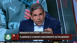 João Guilherme fez promessa para Palmeiras x Flamengo (Foto: Reprodução/ESPN)