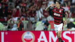 Foto: Jorge Rodrigues/AGIF | Para Tite, Pedro tem características únicas