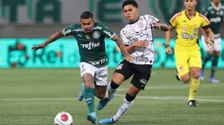 Corinthians x Palmeiras; prognósticos da 22ª rodada do Brasileirão (Foto: Cesar Greco/Palmeiras)