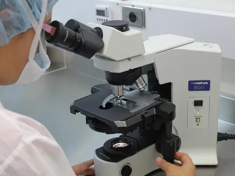 Anvisa analisa pedidos para diagnóstico da varíola dos macacos