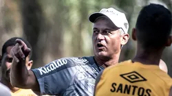 Foto: Ivan Storti/Santos FC - Lisca não se empolgou Jhojan Julio, que sequer jogou sob seu comando no Santos