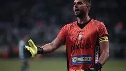 Ettore Chiereguini/AGIF. Anunciado em 2019, Pegorari é o segundo goleiro com mais partidas pelo Ituano
