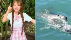 Fotos: Reprodução/Douyin e Reprodução/Pixabay