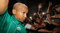 Foto: Divulgação/ Palmeiras