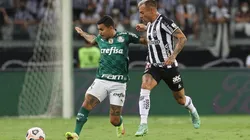 Atlético-MG x Palmeiras, primeiro jogo das quartas de final da Libertadores (Foto: Cesar Greco/Palmeiras)