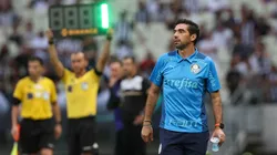 Flickr Oficial do time: Cesar Greco/Flickr Oficial Palmeiras - Segundo jornalista, Abel tem o melhor atleta do Brasil