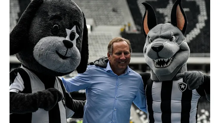 Thiago Ribeiro/AGIF - Textor no Botafogo.
