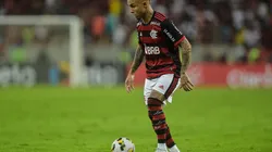 Thiago Ribeiro/AGIF - Everton Cebolinha estará entre os titulares do Flamengo