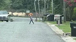 Foto: Reprodução/YouTube/WHDN