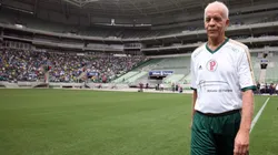 Fabio Menotti/Palmeiras - Ademir é lembrado por ex-Corinthians em elogios ao Palmeiras