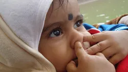 Foto: reprodução Pixabay