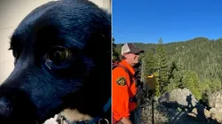 O homem estava coberto por lona camuflada. Fotos: Reprodução/Facebook/Nevada County Sheriff's Search & Rescue