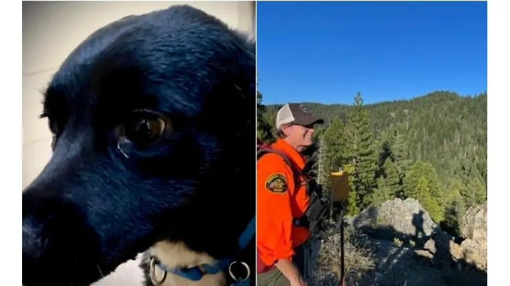 O homem estava coberto por lona camuflada. Fotos: Reprodução/Facebook/Nevada County Sheriff's Search & Rescue