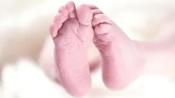 Foto: Pixabay - Pés de um recém-nascido.
