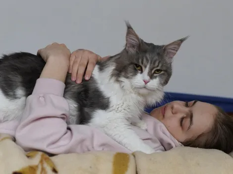 É comprovada nova transmissão do vírus da Covid-19