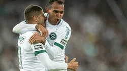 Foto: Jorge Rodrigues/AGIF - Vinícius é o maior assistente da equipe do Goiás no ano