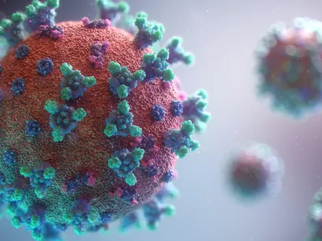 Covid-19: Metade dos hospitais privados do estado de São Paulo tem ocupação de 81% a 100% nos leitos para a doença