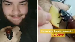 Imagem: Reprodução/Tiktok (@bio.gabriel)