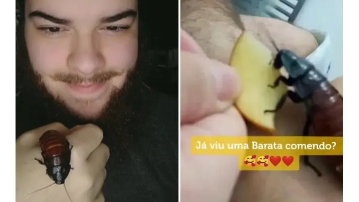 Imagem: Reprodução/Tiktok (@bio.gabriel)
