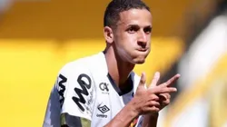 FOTO: Anderson Stevens/Sport Club do Recife - Luciano Juba já soma 9 gols e 6 assistências pelo Sport e desperta olhares do exterior