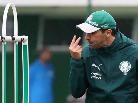 Campeonato Brasileiro: Palmeiras x Botafogo; prognósticos do jogo que o Verdão precisa aproveitar o vacilo dos adversários