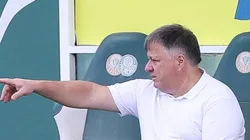 (Foto: Cesar Greco/Palmeiras/Flickr Oficial)