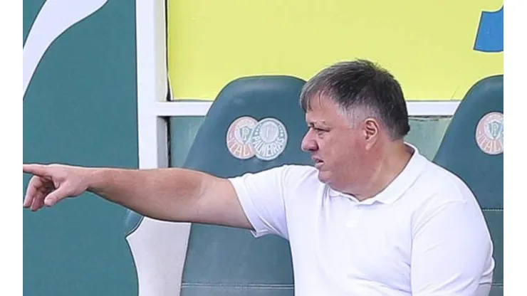 (Foto: Cesar Greco/Palmeiras/Flickr Oficial)