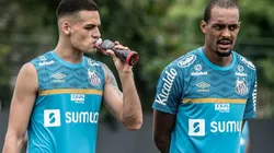Foto: Ivan Storti/Santos FC - Hoje elenco do Santos tem Luiz Felipe como mais velho entre os zagueiros; Maicon, do Cruzeiro, é 5 anos mais velho
