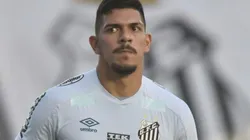 Foto: Ivan Storti/Santos FC