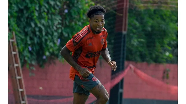 Foto: Marcelo Cortes / Flamengo