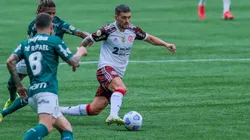 Palmeiras e Flamengo se enfrentam em busca do título neste sábado, dia 27 (Foto: Marcello Zambrana/AGIF)