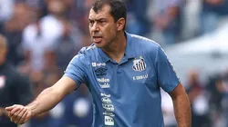 Fábio Carille, treinador do Santos (Foto: Marcello Zambrana/AGIF)