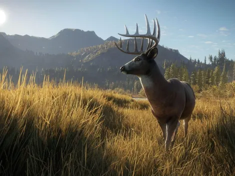 theHunter: Call of the Wild está de graça na Epic Games Store