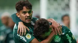 Foto: Cesar Greco/Palmeiras