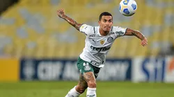 Foto: Thiago Ribeiro/AGIF - Sormani afirma que Dudu não é um jogador decisivo da equipe