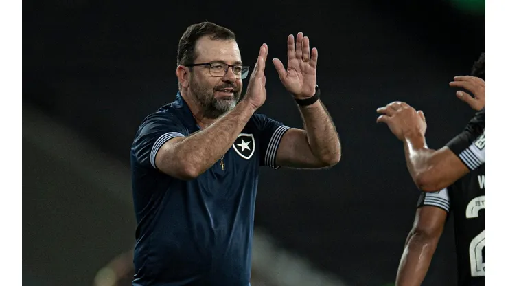 Botafogo, de Enderson Moreira, está próximo de conseguir o acesso à Série A