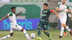 Chapecoense x Palmeiras; prognósticos para o jogo da 21ª rodada (Foto: Cesar Greco)