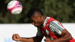 Foto: César Greco/ Palmeiras