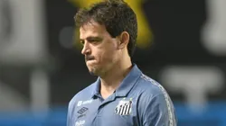 Diniz foi questionado sobre Deyverson - Foto: Ivan Storti/Flickr Oficial do Santos/Divulgação.