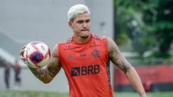 Foto: Marcelo Cortes / Flamengo